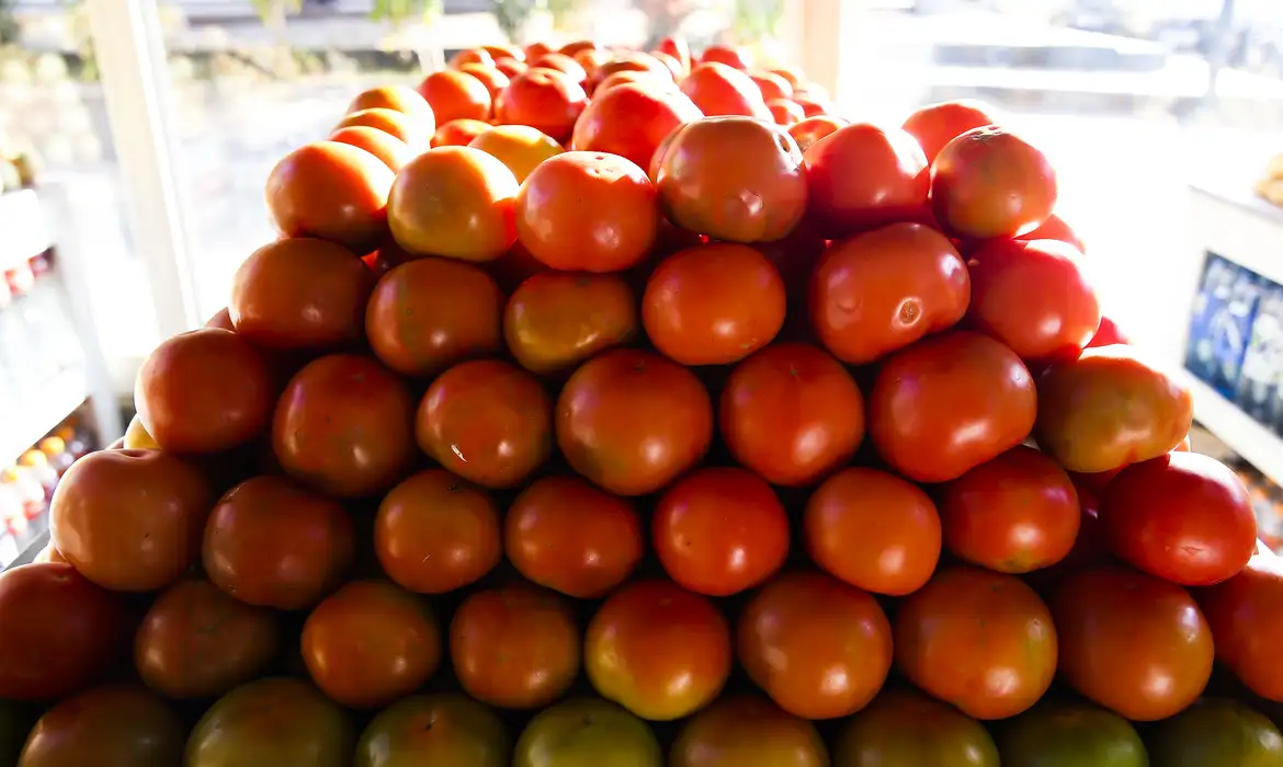 Inflação dos alimentos volta a cair em novembro e registra menor nível em 12 meses