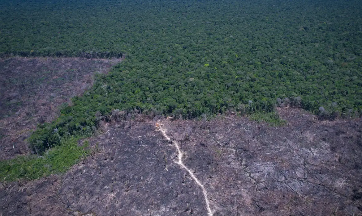 Desmatamento avança no entorno de áreas protegidas da Amazônia Legal