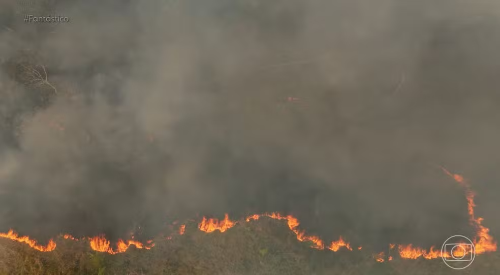 Rondônia autoriza descontos e parcelamento de multas ambientais em até 120 vezes